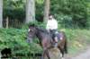 staldeeikimg_2835_small.jpg
