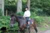 staldeeikimg_2836_small.jpg
