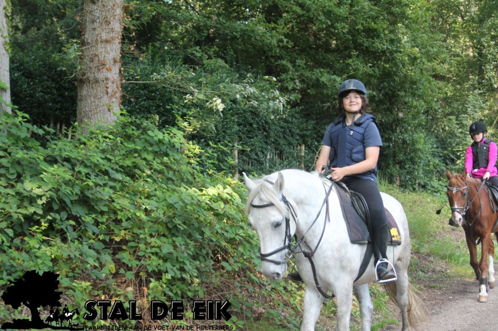 staldeeikimg_2837.jpg