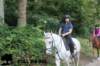 staldeeikimg_2838_small.jpg