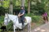 staldeeikimg_2839_small.jpg
