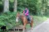 staldeeikimg_2840_small.jpg