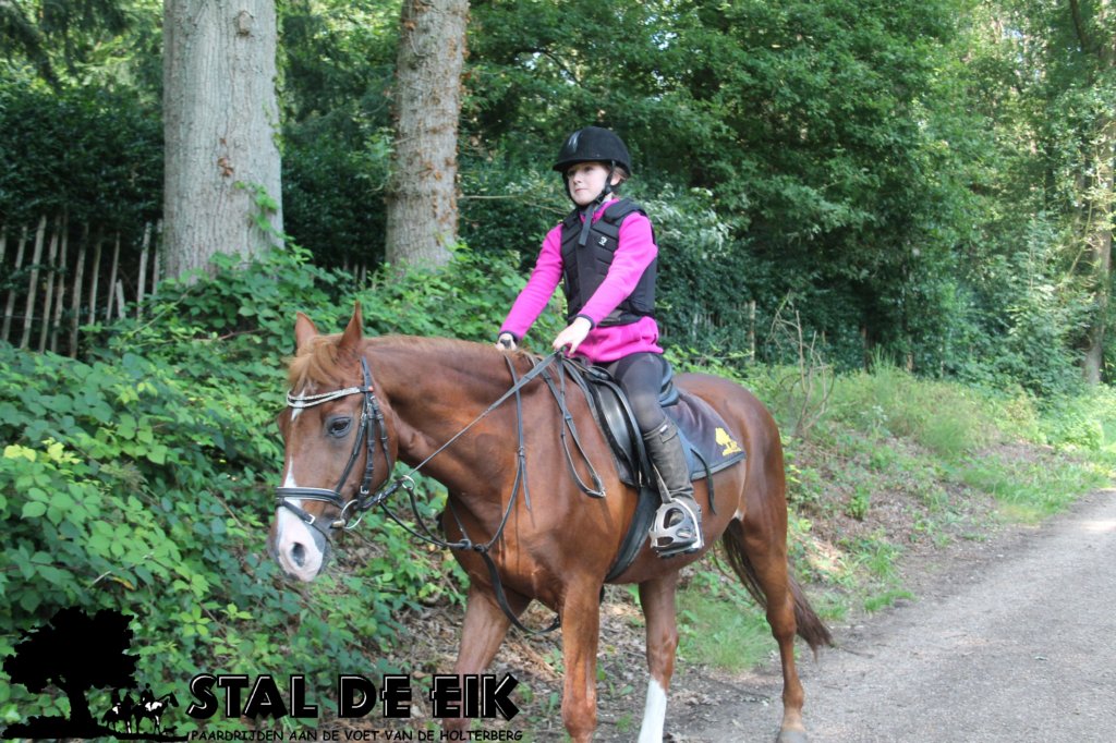 staldeeikimg_2841.jpg