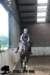 staldeeikimg_2847_small.jpg
