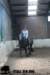 staldeeikimg_2849_small.jpg