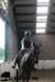 staldeeikimg_2851_small.jpg