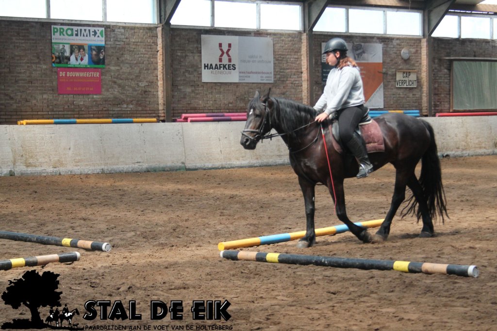 staldeeikimg_2853.jpg