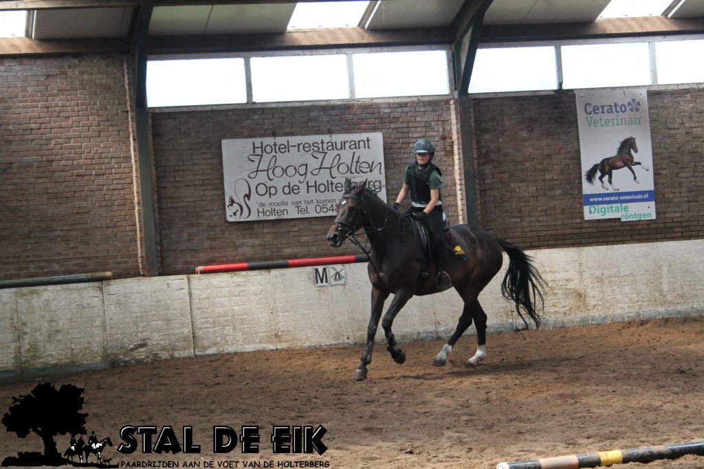 staldeeikimg_2855.jpg
