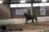 staldeeikimg_2855_small.jpg