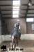 staldeeikimg_2857_small.jpg
