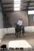 staldeeikimg_2859_small.jpg