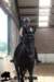 staldeeikimg_2875_small.jpg