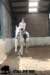 staldeeikimg_2880_small.jpg