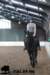 staldeeikimg_2895_small.jpg
