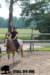 staldeeikimg_2901_small.jpg