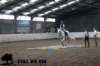 staldeeikimg_2908_small.jpg