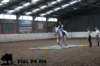 staldeeikimg_2909_small.jpg