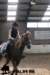 staldeeikimg_2936_small.jpg