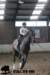 staldeeikimg_2940_small.jpg