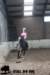 staldeeikimg_2945_small.jpg