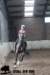 staldeeikimg_2946_small.jpg