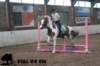 staldeeikimg_2959_small.jpg