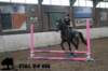 staldeeikimg_2961_small.jpg