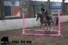 staldeeikimg_2964_small.jpg
