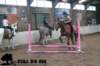 staldeeikimg_2971_small.jpg
