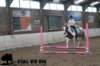 staldeeikimg_2977_small.jpg