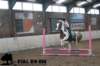 staldeeikimg_2978_small.jpg