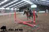 staldeeikimg_2982_small.jpg