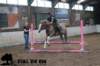 staldeeikimg_2985_small.jpg