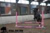 staldeeikimg_2990_small.jpg