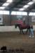staldeeikimg_3019_small.jpg