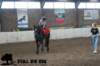 staldeeikimg_3022_small.jpg