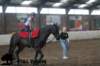 staldeeikimg_3024_small.jpg