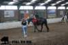 staldeeikimg_3025_small.jpg