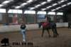 staldeeikimg_3029_small.jpg