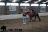 staldeeikimg_3030_small.jpg