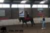 staldeeikimg_3031_small.jpg