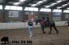 staldeeikimg_3036_small.jpg