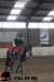 staldeeikimg_3038_small.jpg