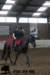 staldeeikimg_3039_small.jpg