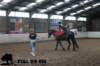 staldeeikimg_3043_small.jpg
