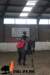 staldeeikimg_3046_small.jpg