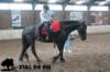 staldeeikimg_3053_small.jpg