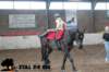 staldeeikimg_3069_small.jpg