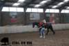 staldeeikimg_3071_small.jpg