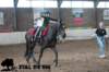 staldeeikimg_3074_small.jpg